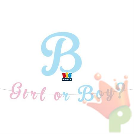 FESTONE SCRITTA ITALIC BABY GIRL OR BOY? 3 MT