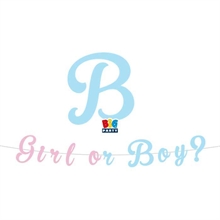FESTONE SCRITTA ITALIC BABY GIRL OR BOY? 3 MT
