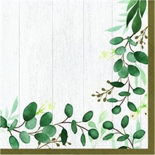 TOVAGLIOLI 33X33 EUCALYPTUS GREEN 16 PZ