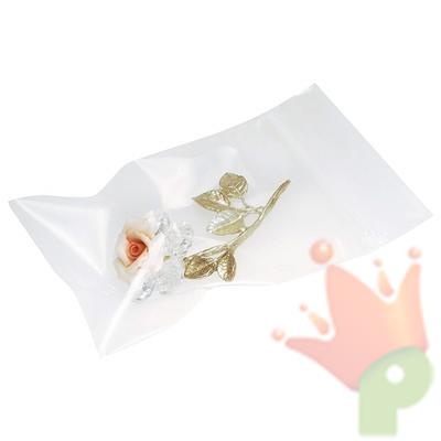 Buste Neutre Con Cerniera 6x9cm 100pz
