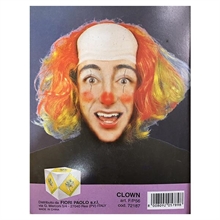 PARRUCCA CLOWN colori assortiti