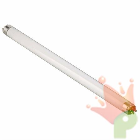 TUBO FLUORESCENTE NEON 220V 50Hz 15 WATT 6500K T8 45CM