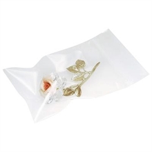 Buste Neutre Con Cerniera 10x15cm 100pz