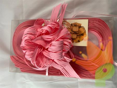 COCCARDE STRIP RAFIL 2102  MM 31 COL 05 ROSA 20 PZ