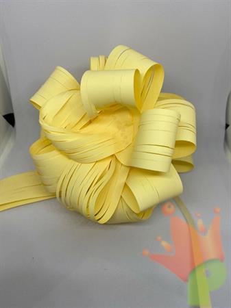COCCARDE STRIP RAFIL AVORIO MM 31 COL 22 20PZ