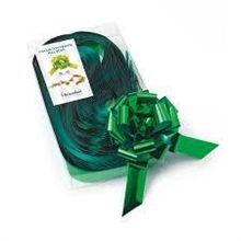 COCCARDE STRIP SPLENDID MM 31 COL 09 VERDE METAL 30 PZ