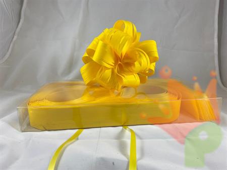 COCCARDE STRIP RAFIL 2102 MM 31 COL 02 GIALLO 20 PZ