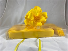 COCCARDE STRIP RAFIL 2102 MM 31 COL 02 GIALLO 20 PZ