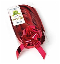 NASTRO SPLENDID MAT 6811 31MMX100MT ROSSO OPACO