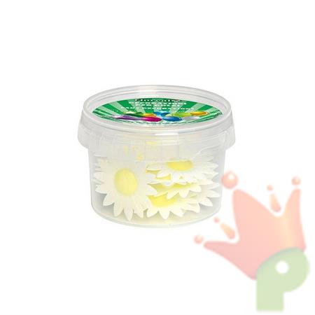 MARGHERITE CIALDA BIANCO 15PZ