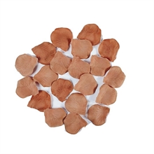 PETALI LUX NOCCIOLA 100PZ