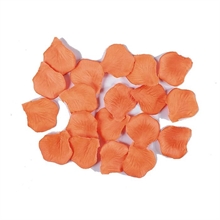 PETALI LUX SALMONE 100PZ