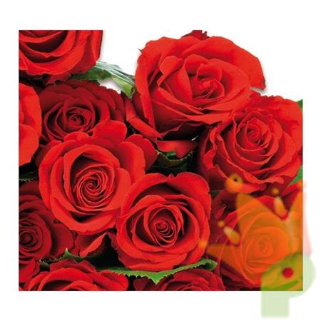 Tovaglioli 33x33 Red Roses 20pz