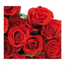Tovaglioli 33x33 Red Roses 20pz