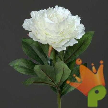 PEONIA SPRAY 63cm CREMA