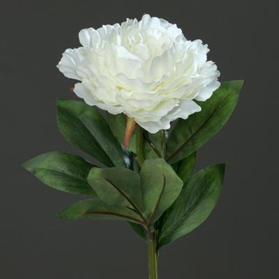 PEONIA SPRAY 63cm CREMA