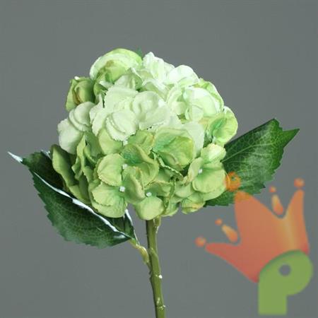 ORTENSIA 44CM VERDE