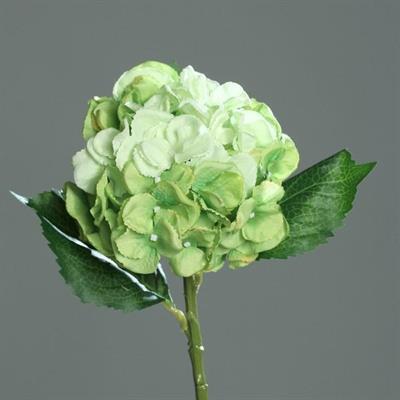 ORTENSIA 44CM VERDE