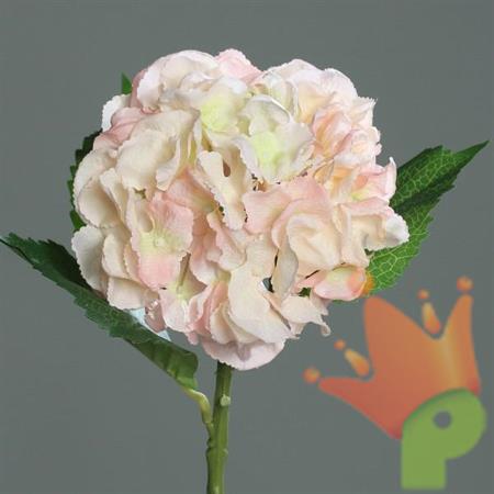 ORTENSIA ROSA 44 CM