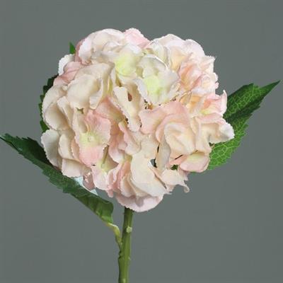 ORTENSIA ROSA 44 CM