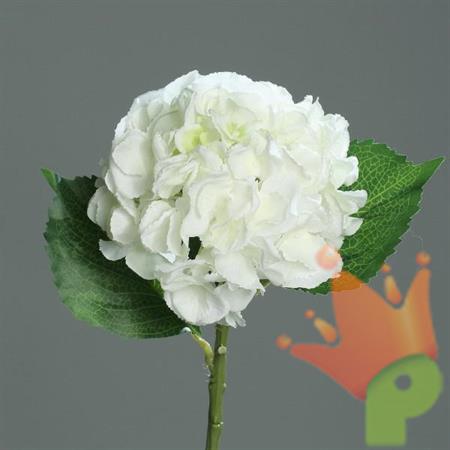 ORTENSIA 44cm CREMA