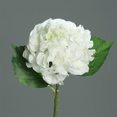 ORTENSIA 44cm CREMA