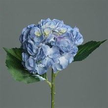 ORTENSIA 44CM BLU