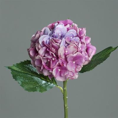 ORTENSIA LAVANDA 44 CM