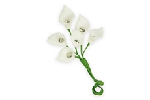 CALLA BIANCA CON STRASS 144PZ