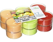 TEALIGHTS JUMBO 8H PROFUMAZIONE TROPICAL-MANGO 12PZ