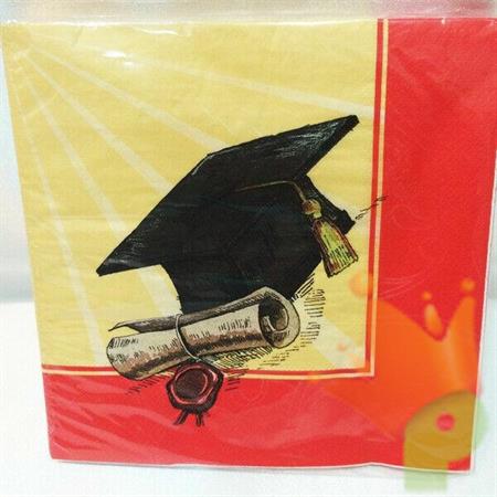 TOVAGLIOLI 33X33 LAUREA VINTAGE 20PZ