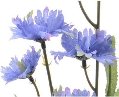 RAMO FIORDALISI VIOLA 55CM