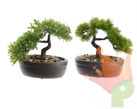 BONSAI IN VASO 2 ASSORTITI 13,5X23X23CM