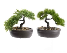 BONSAI IN VASO 2 ASSORTITI 13,5X23X23CM