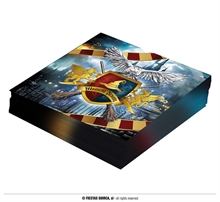 TOVAGLIOLI 33X33 HARRY POTTER 20 PZ