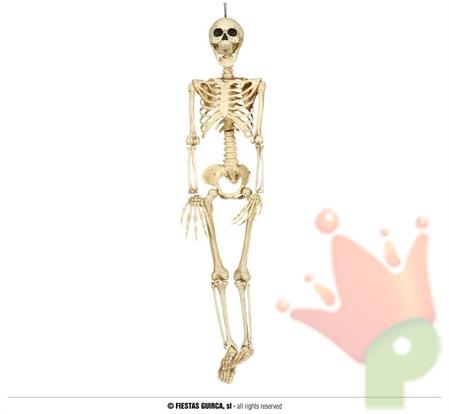 SCHELETRO 90 CM