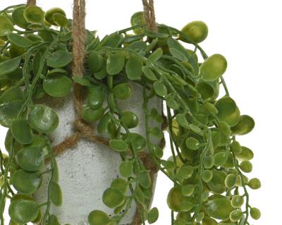 PIANTA ARTIFICIALE DA APPENDERE CON CORDA 2 ASSORTITE