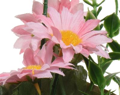 VASETTO CON FIORI MARGHERITE H.16X8 CM
