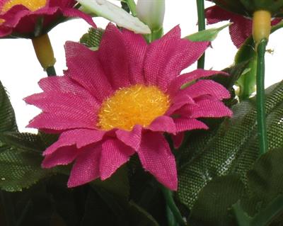 VASETTO CON FIORI MARGHERITE H.16X8 CM