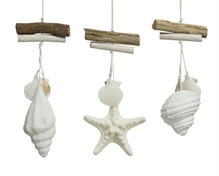 PENDENTE DECORATIVO CONCHIGLIA/STELLA MARINA 22X10X5 CM ASS.