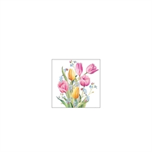 TOVAGLIOLI BOUQUET TULIPANO 25X25 CM 20 PZ