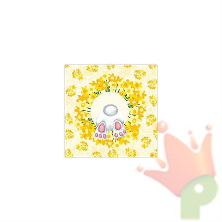 TOVAGLIOLO HIDE AND SEEK 33X33 CM 20 PZ