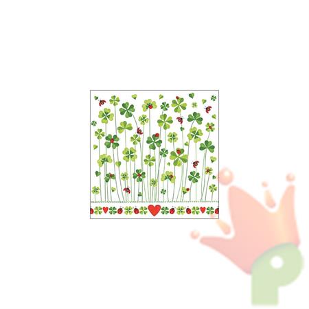 TOVAGLIOLI BUONA FORTUNA 33X33 CM 20 PZ