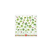 TOVAGLIOLI BUONA FORTUNA 33X33 CM 20 PZ