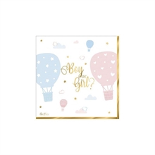 TOVAGLIOLI BOY OR GIRL 33X33 CM 16 PZ