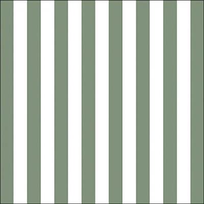 TOVAGLIOLI STRISCE VERDE SALVIA 33X33 CM 20 PZ