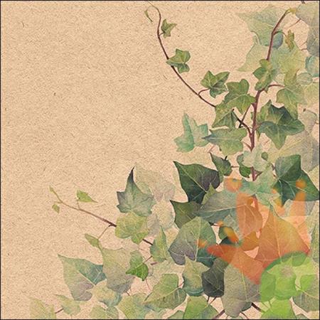 TOVAGLIOLI DEORO EDERA 33X33 CM 20 PZ