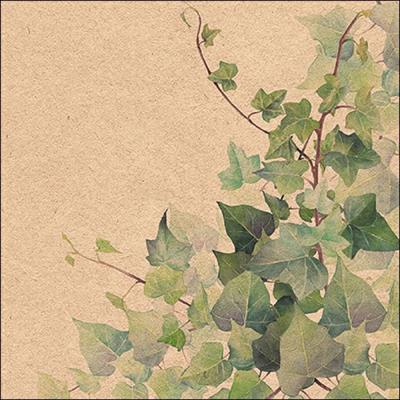 TOVAGLIOLI DEORO EDERA 33X33 CM 20 PZ