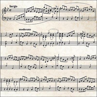 TOVAGLIOLI SPARTITO NOTE MUSICALI 33X33 CM 20 PZ