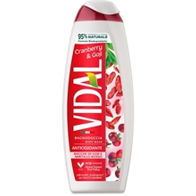 BAGNOSCHIUMA VIDAL BACCHE DI GOJI 500 ML
